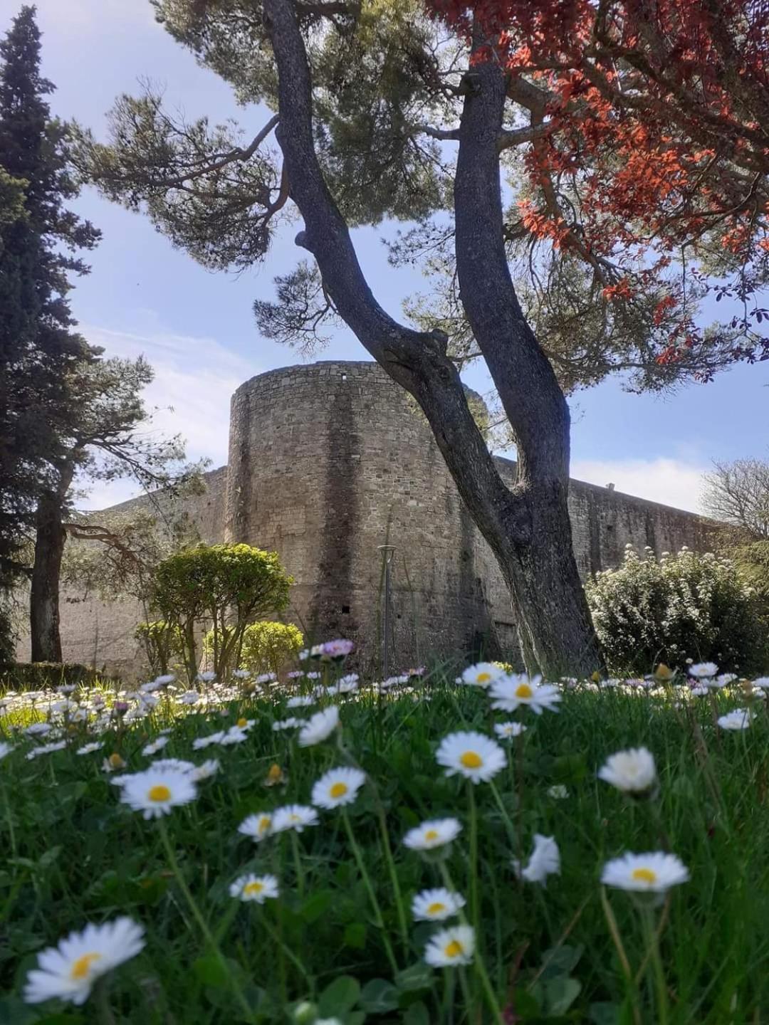 Fronte Duomo Leilighet Ariano Irpino Eksteriør bilde